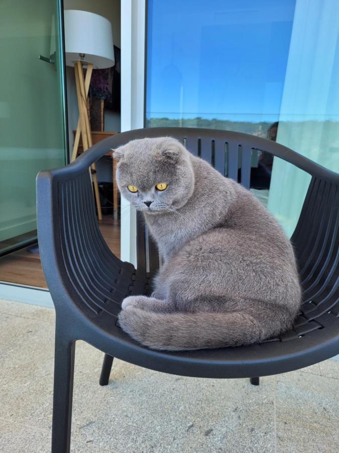 Hotel Cotto Do Gatto 폰테다바카 외부 사진