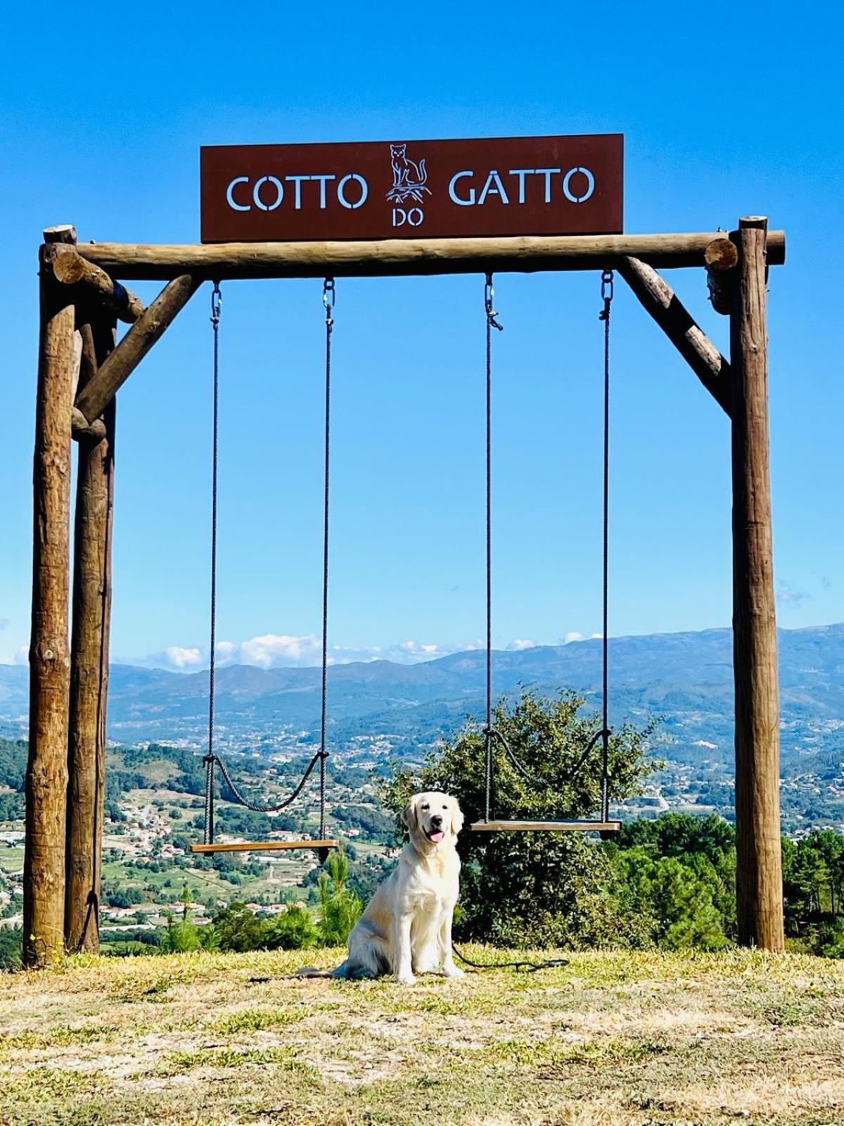 Hotel Cotto Do Gatto 폰테다바카 외부 사진